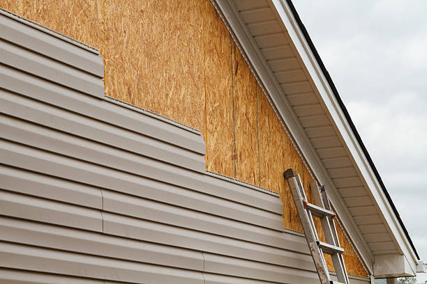 Professional Siding Repair technician working in Knoxville, TN